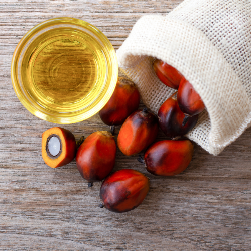 Palm Kernel/Palm Oil