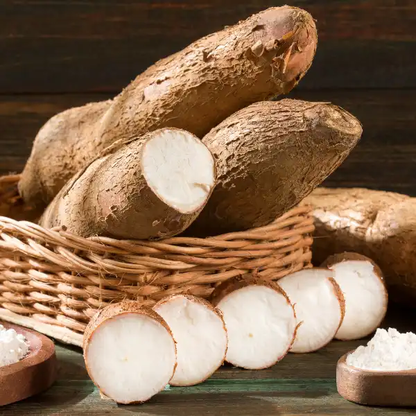 Cassava